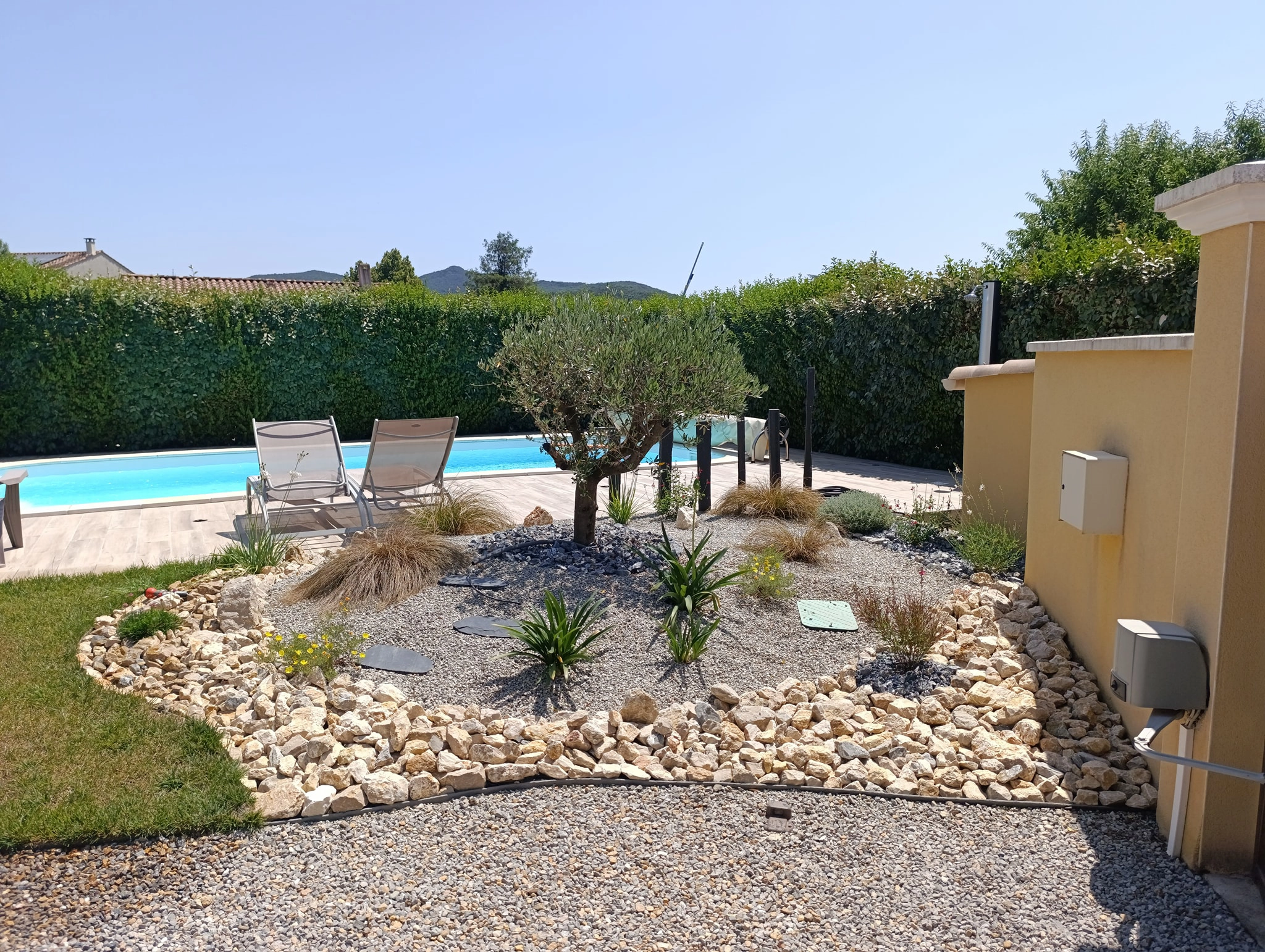 Aménagement d'un massif méditerranéen en bord de piscine avec olivier central, plantes grasses, graminées et paillage en graviers et rocailles.